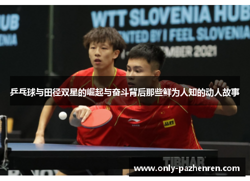 乒乓球与田径双星的崛起与奋斗背后那些鲜为人知的动人故事