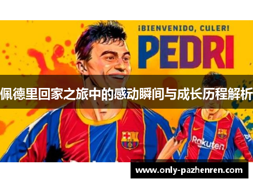 佩德里回家之旅中的感动瞬间与成长历程解析