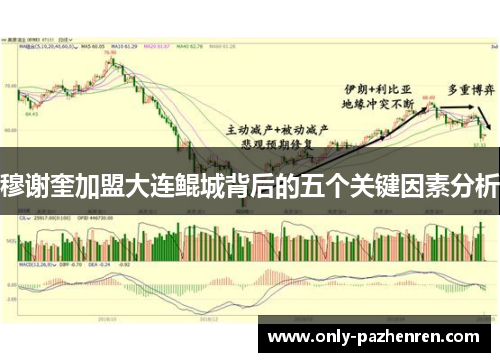 穆谢奎加盟大连鲲城背后的五个关键因素分析