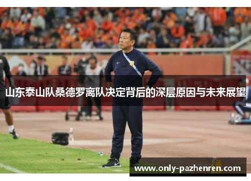 山东泰山队桑德罗离队决定背后的深层原因与未来展望