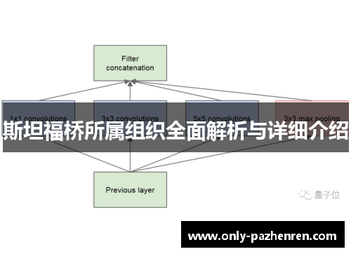 斯坦福桥所属组织全面解析与详细介绍