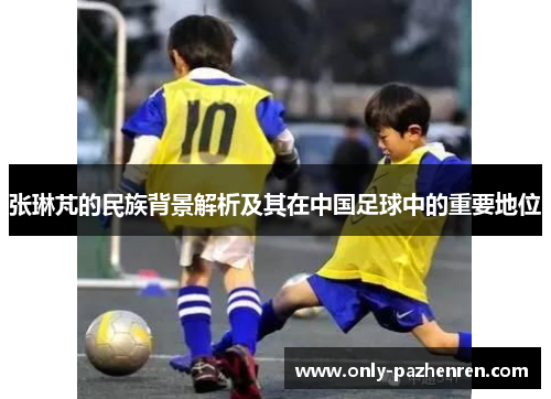 张琳芃的民族背景解析及其在中国足球中的重要地位