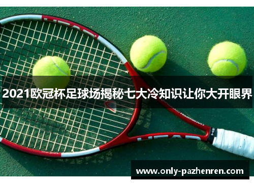2021欧冠杯足球场揭秘七大冷知识让你大开眼界