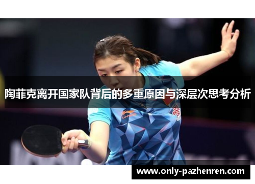 陶菲克离开国家队背后的多重原因与深层次思考分析