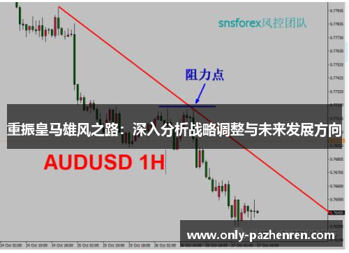重振皇马雄风之路：深入分析战略调整与未来发展方向