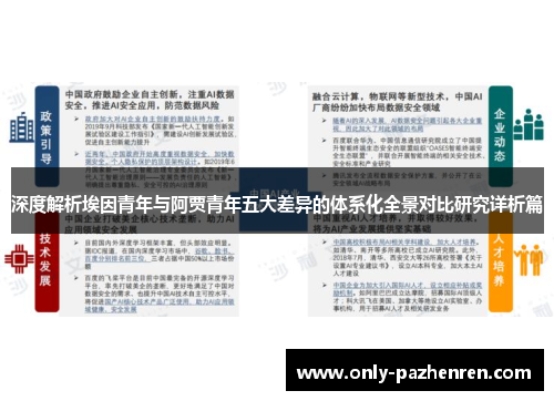 深度解析埃因青年与阿贾青年五大差异的体系化全景对比研究详析篇