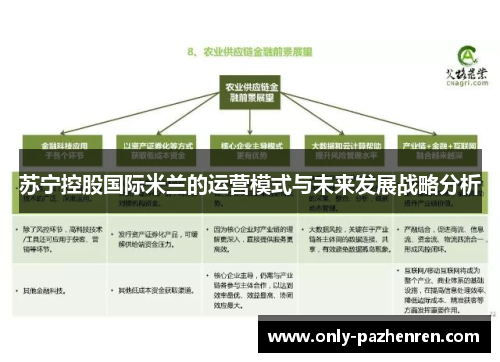 苏宁控股国际米兰的运营模式与未来发展战略分析 苏宁控股国际米兰的运营模式与未来发展战略分析