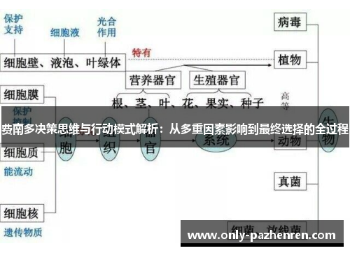 费南多决策思维与行动模式解析：从多重因素影响到最终选择的全过程